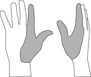 hand