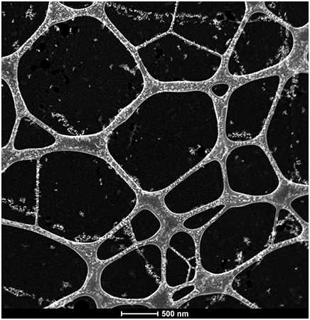 Graphene TEM Support Films for TEM