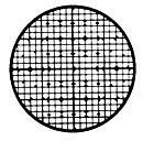 Finder网格，SEM，10mm直径，75目，铜