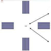 Critical Dimension (CD)校准标样
