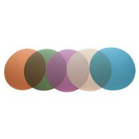 PELCO ®SBT金刚石研磨片