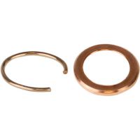 AutoGrid Rings & C-clips冷冻电镜OC形预卡环