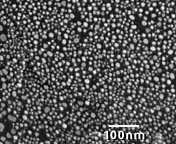SEM碳基底金分辨率测试标样