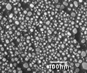SEM碳基底金分辨率测试标样