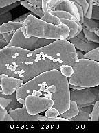 SEM像散矫正及分辨率标样