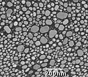 SEM碳基底金分辨率测试标样