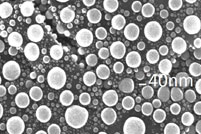 SEM中等分辨率测试标样