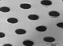 Quantifoil圆孔碳支持膜