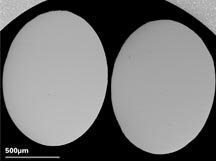 背散射及二次电子测试标样