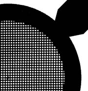 500电镜载网/铜网