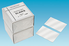 Ted Pella经济大型载玻片260439