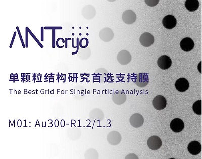 ANTcryo支持膜/冷冻电镜专用微孔阵列膜