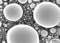 SEM碳基底锡球颗粒分辨率标样