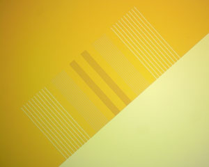 KPFM-EFM 静电力和开尔文探针力显微镜标样