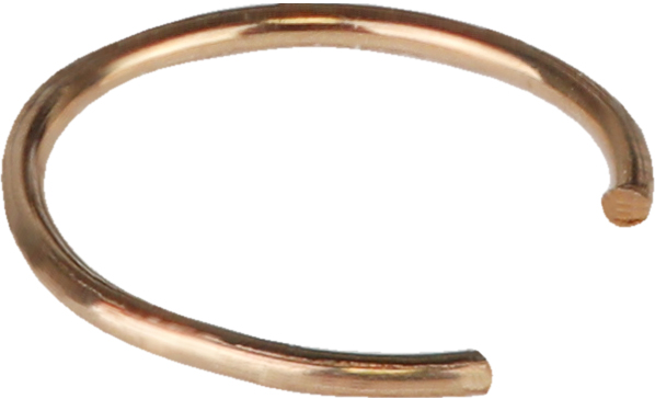 JEOL CryoARM C 型环