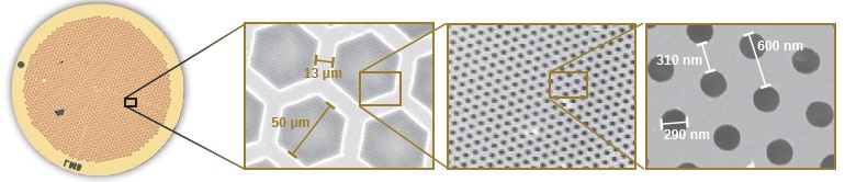 HexAuFoil® 多孔金膜（冷冻电镜专用）