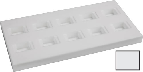 Kulzer Technovit PTFE 组织包埋模具